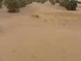 Prachové duny na okraji poľa